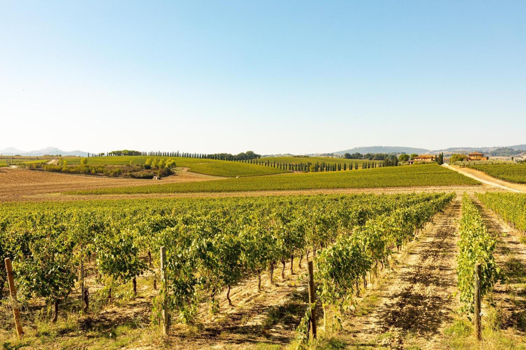 Willa Vermentino Montepulciano Zewnętrze zdjęcie